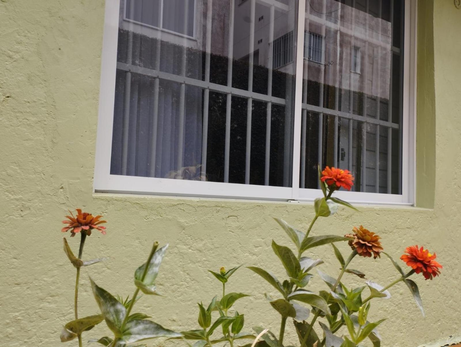Charmoso Apto Com Clima De Casa Em Canasvieiras Florianópolis Dış mekan fotoğraf